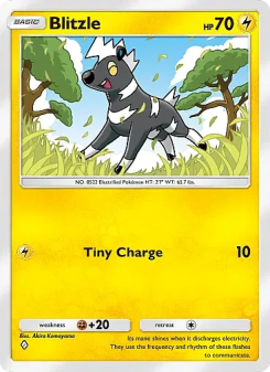 Blitzle - pokemon TCG Card