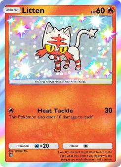 Litten - pokemon TCG Card