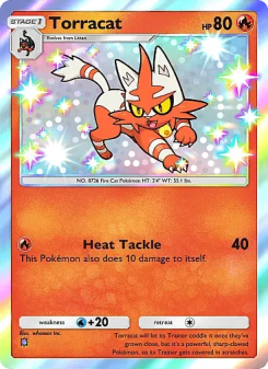 Torracat - pokemon TCG Card