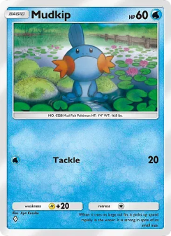 Mudkip - pokemon TCG Card