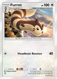 Furret - pokemon TCG Card