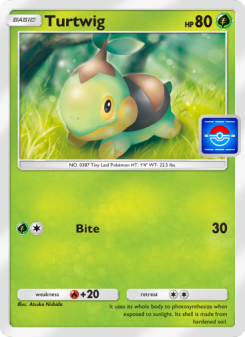 Turtwig - pokemon TCG Card