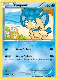 Panpour - pokemon TCG Card