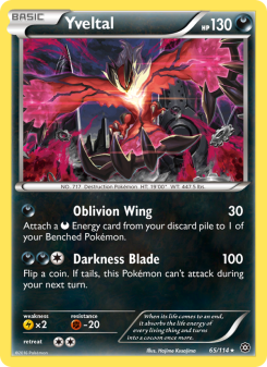Yveltal - pokemon TCG Card