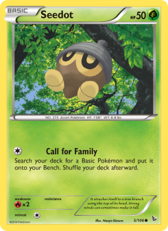 Seedot - pokemon TCG Card