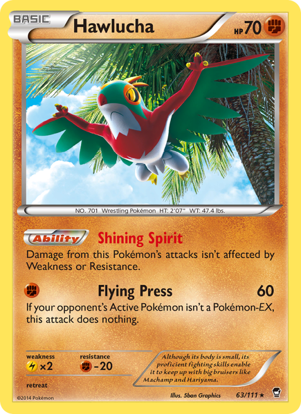Hawlucha - Pokémon TCG Card