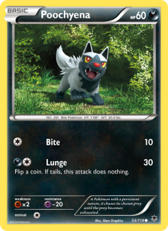 Poochyena - pokemon TCG Card
