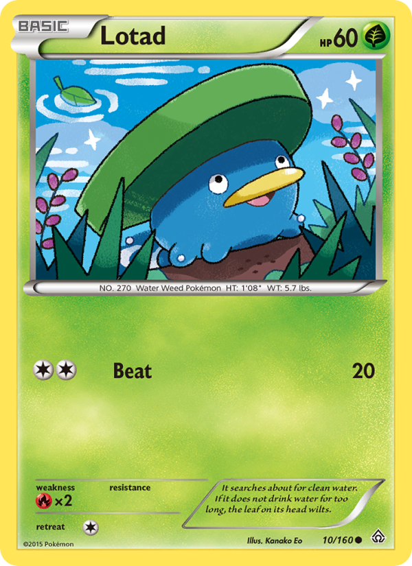 Lotad - Pokémon TCG Card