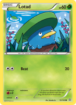Lotad - pokemon TCG Card