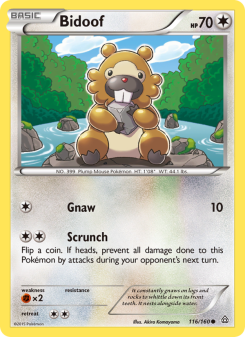 Bidoof - pokemon TCG Card