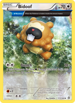 Bidoof - pokemon TCG Card
