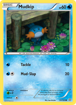 Mudkip - pokemon TCG Card