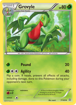 Grovyle - pokemon TCG Card