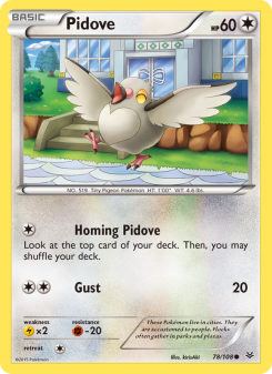 Pidove - pokemon TCG Card