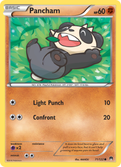 Pancham - pokemon TCG Card