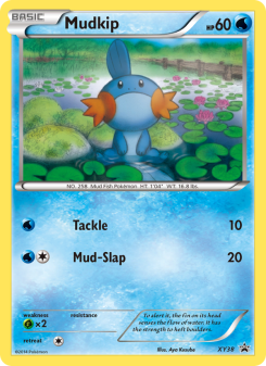 Mudkip - pokemon TCG Card